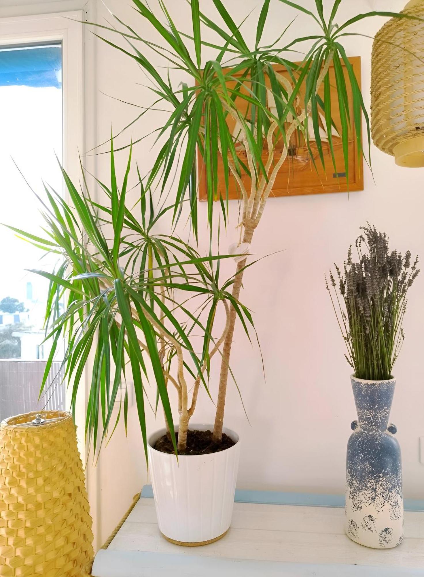 Charmant Appartement Lumineux - Dernier Etage Avec Balcon - Proche Centre-Ville 南特 外观 照片
